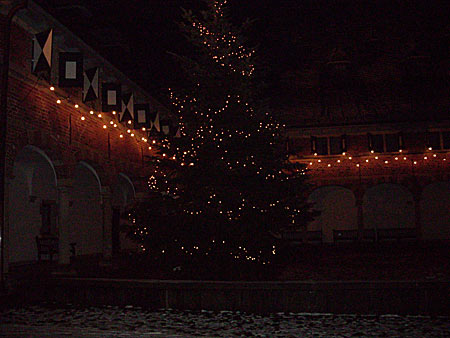 Weihnachtsbaum - Schloss Reinbek
